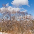 강남에듀학원 이미지