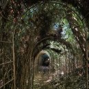 주벅배 전망대 화장실 이미지