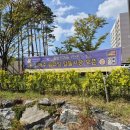 고단3리 이미지