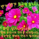 행복한하루 이미지