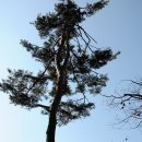 성동천 이미지