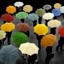 꽃이 피고 비가 내리면 이미지