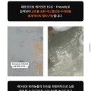 수수펫살롱 이미지