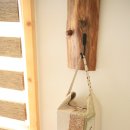 감귤향기 이미지