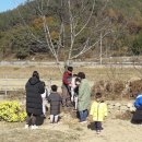 정곡농장 이미지