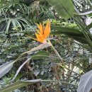 명인행정사사무소 이미지