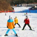 스노우가든 이미지