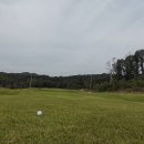 모나크cc 이미지