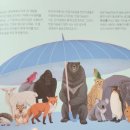 작은 곰 이야기 | 베어북(Bear Book): 사라져 가는 야생 곰 이야기 :: 한우리 아동 필독서 독서 리더 2