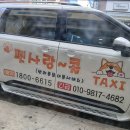대구 펫 택시 이미지