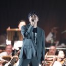 숲속의 오케스트라 이미지