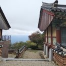 무주읍137 이미지