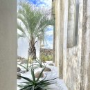 스테이다랑쉬502 이미지