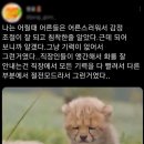 마디사랑정형외과의원 네이버블로그