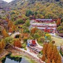 월아산 우드랜드 이미지