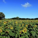 연천호로고루 이미지