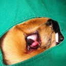 탕정동물의료센터 이미지