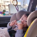 비비큐(BBQ) 수원원천점 | 육아기록 : D 406~414 (유아식 시작)