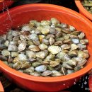 대천항수산시장 이미지