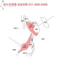 명동보건진료소 네이버블로그