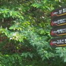 자연의터생태 이미지