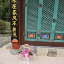 도초 만년사 이미지