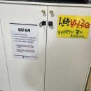 캣츠앤 | 안양 평촌 고양이 카페 캣츠앤몬스터 후기