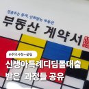 신생아특례디딤돌대출 받은 후기 :: 신청 과정 대출한도 주의사항 꿀팁