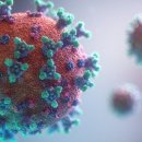 화이트테라퓨틱스 | 크리스퍼 테라퓨틱스[CRSP], 한 번 맞고 평생 치료? CTX310 충격 임상 결과 공개