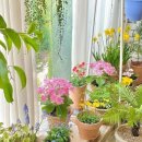 창조가든 이미지