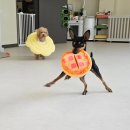 밍글몽글 이미지