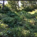 하개명마을회관 이미지