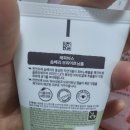 풀빛담