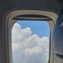 내서읍725 | [주간일기 챌린지, 7월 2주차] 22.07.11.(월) ~ 22.07.17.(일)