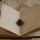 법무사사무소서로 네이버블로그