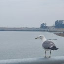 모항항편의점 이미지