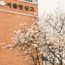 DR AUTO | 후지필름 X100VI 영입 후기 | 필름 시뮬레이션, 레시피 추천 (클래식 네거티브 - Xtra 400 레시피)