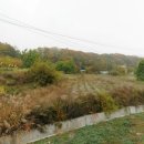 일류공인중개사사무소 이미지