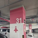 지미 | 대전 봉명동 속눈썹펌 지미헤르츠 추천 후기 / 대전 속쌍 속눈썸펌 추천