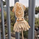 송도오토캠핑장 이미지