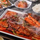 황금코다리 이미지