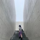 신우콘크리트(주) | 2020.05.29-31_제주