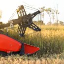 단계할인마트 이미지