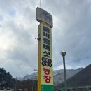 매일주유소(휴업) | 영월맛집 물바람버섯농장 │ 무조건 가야 하는 영월밥집