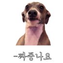 도프커피서