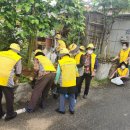 문내부인 이미지