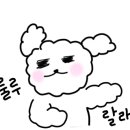 6호선닭한마리 이미지