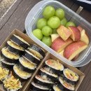 화니카센타 이미지