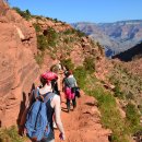 대자연세탁 이미지