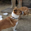 어우재미술관 이미지